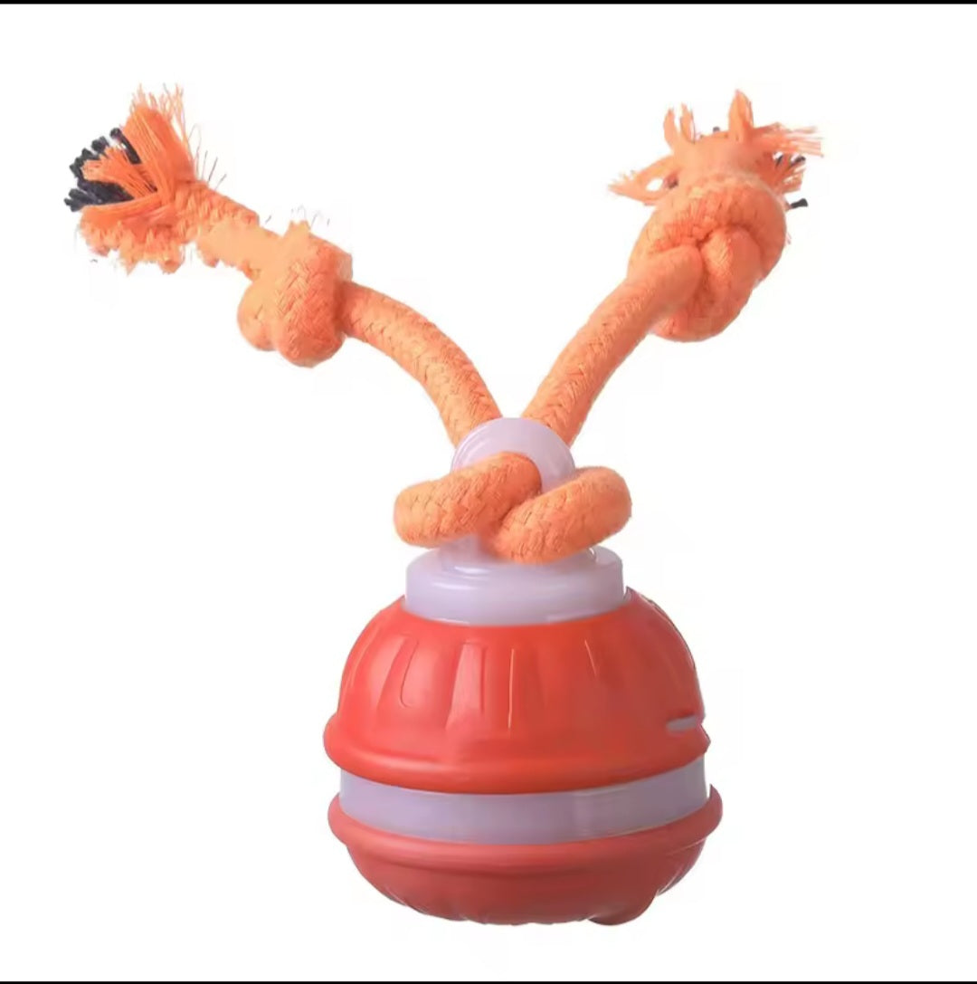 Haustierball für Hunde