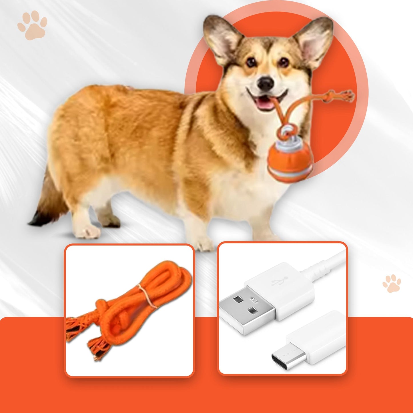 Haustierball für Hunde